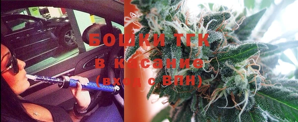 прущие крисы Тайга