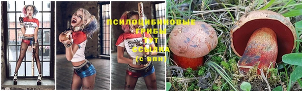 прущие крисы Тайга